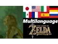 Despair Multilanguage Memory 16 Zelda Breath of the Wild