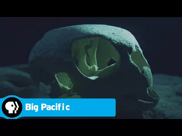 BIG PACIFIC | Turtle Graveyard | PBS