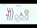 PEPperCHIP Peptide Microarray Applications with subtitles