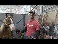 Download Lagu 2 Ways to Wrap Your Horse’s Legs (Most Riders Get This Wrong!)