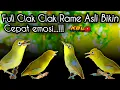 Download Lagu CIAK CIAK KECIAL KUNING SUPER AMPUH||BIKIN KECIAL SEHAT DAN RAJIN BUNYI||