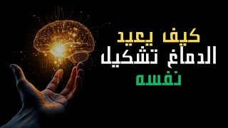 كيف يعيد الدماغ تشكيل نفسه  تحفيز  الذاكرة  مرونة عصبية  علم الدماغ  التحفيز الذهني دندنها
