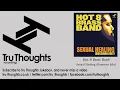 Hot 8 Brass Band - Sexual Healing - Bossman Edit