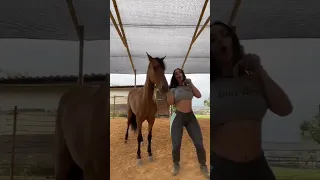 Horse and owner twerk at the horse barn