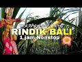 Download Lagu RINDIK BALI TERBARU ! SULING NYA MENYEJUKKAN HATI