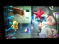 Nemo in the fish tank from Nemo Clip