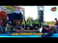 Download Lagu Lagu || SIGAR x SELENDANG BIRU || Dangdut ROGO SAMBOYO PUTRO
