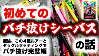 初めてのバチ抜けシーバス！の話 - 極論、この4種ルアーとタックルセッティングでバチ抜け完璧編 -