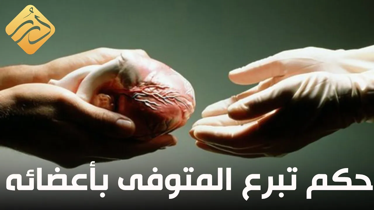 حكم تبرع المتوفى بأعضائه .. د. علي القره داغي | الإسلام والحياة