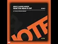 Ridney Ft. Sander Nijbroek - What You Mean To Say (Richard Earnshaw Club Mix) [DUFFNOTE RECORDINGS]