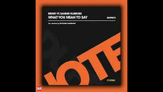 Ridney Ft. Sander Nijbroek - What You Mean To Say (Richard Earnshaw Club Mix) [DUFFNOTE RECORDINGS]