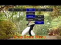 How To Make Drop Down Menu Using HTML And CSS HTML Website Tutorials