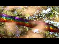 nova norda - varım (sözleri/lyrics)