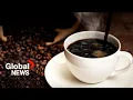 The rise in coffee prices - explained