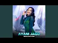 Lagu Ayam Jago