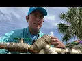 Why do we need backflow preventer testing
