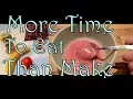 Amazing Chilled Dessert - Dairy Sugar Free Vegan Healthy Super Easy