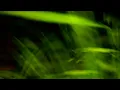 Download Lagu bedbyeleven - eternal chase (visualiser)