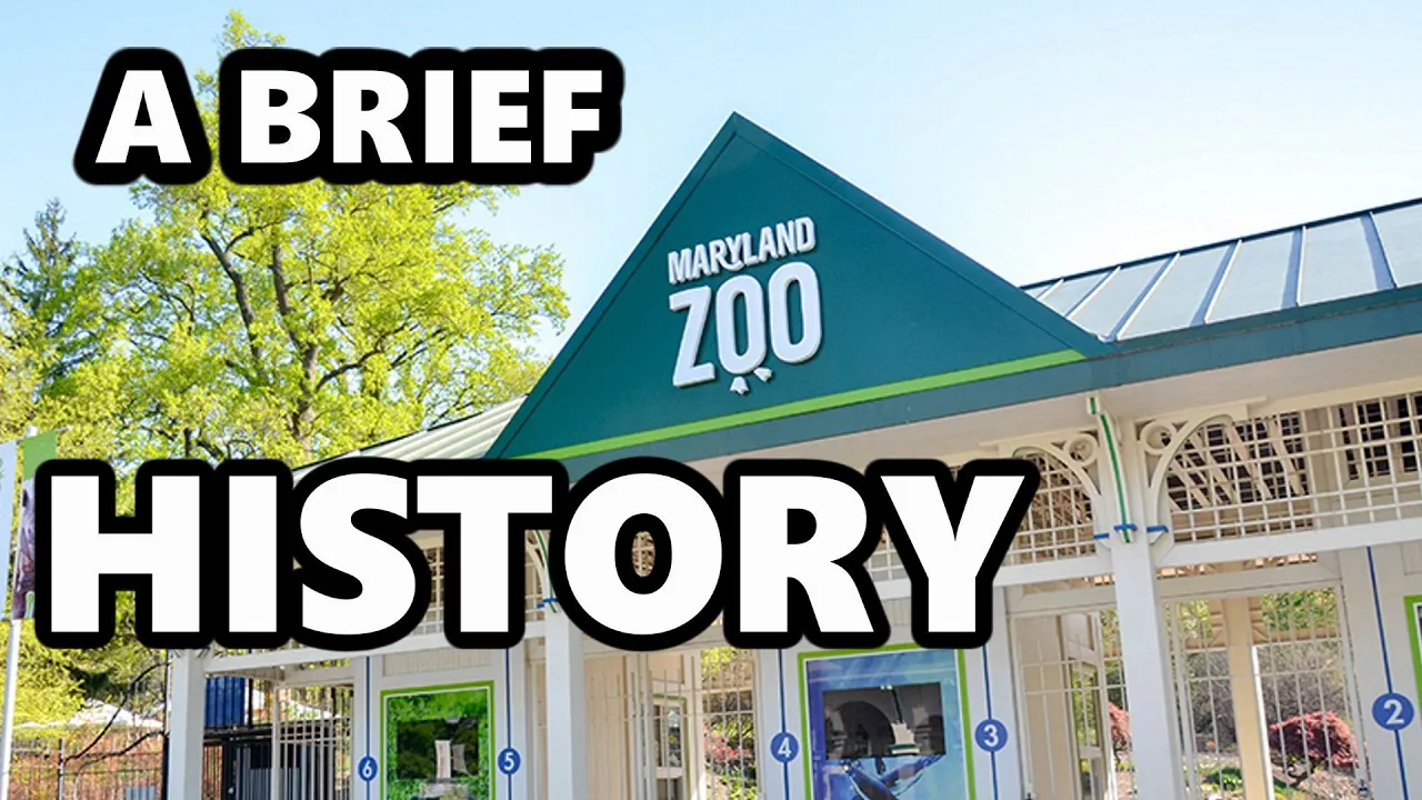 A Quick Look at the Maryland Zoo | History and Origin