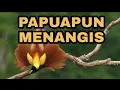 Download Lagu Another Project - Papua Pun Menangis