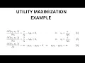 Utility Maximization Example Solving with the Method of Lagrange Microeconomics