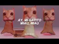 Lenar, Leonardo P - MONTAGEM MIAU Slowed (Letra) // ay mi gatito miau miau tiktok