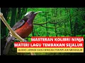 Download Lagu masteran kolibri ninja | materi tembakan sejalur, untuk irama materi isian burung juara