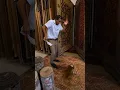 Cleaning a RUG spill - satisfying
