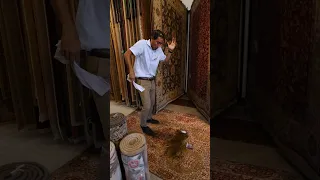 Cleaning a RUG spill - satisfying