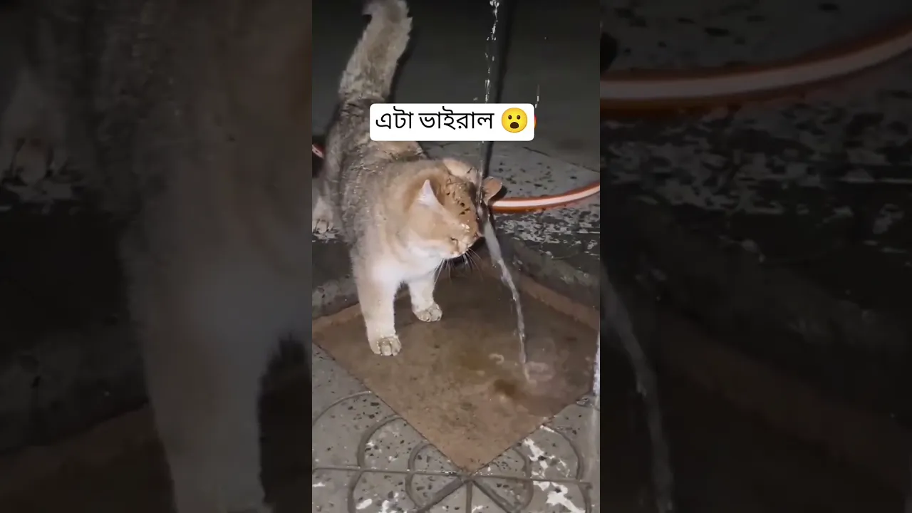 আল্লাহর সৃষ্টি 😮😮 #shorts