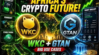The Future of Crypto in Africa PENIWALLET GIANT WALLET PENIREMIT STABLE NAIRA WKC GTAN