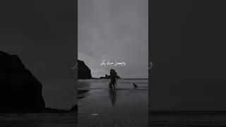 ولاخر يوم في عمري هفضل احاول اسعدك ميهونش عليا زعلك دا انتي الدنيا في ضحكتك 