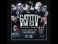 El Gatito de Mi Ex (Remix)