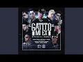 El Gatito de Mi Ex Remix
