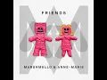 Marshmello, Anne-Marie - Friends (Official Clean Version)