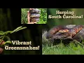 Herping coastal South Carolina Searching for snakes turtles and lizards