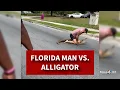 WILD Florida man uses bare hands to remove 8-foot gator from busy road