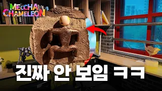 현실에서 이 게임을 직접 하면 벌어지는 일