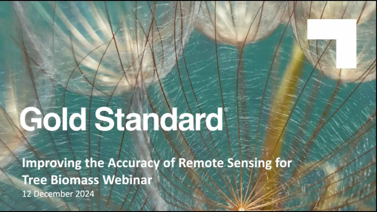 Improving the Accuracy of Remote Sensing for Tree Biomass | Gold Standard and SIG