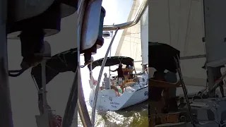 #shorts #racing #water #fun #sailing