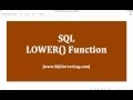 38 - SQL LOWER Function