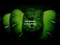 THE SNAKE - Lana Lubany ( s l o w e d + r e v e r b )