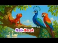 Lagu CICAK🦎- Cicit Cuit Burung Bernyanyi 🦜 - Naik Becak 🚲- Burung Kakatua 🐦 | Lagu Anak Indonesia Populer