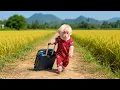 Baby Monkey Bibi s FIRST EVER Adventure to the Countryside with Dad