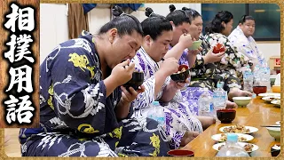 【相撲飯】相撲用語|若雅最後のちゃんこ番|トンテキ・鶏つくね『🍚番:出沼・若雅・桑江・梅山』