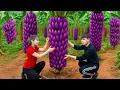 Download Lagu Harvesting Rare Mutant Bananas | Traditional Banana Recipes Sell Out at Market
