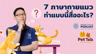 [PODCAST] Pet Talk | EP.9 - 7 ภาษากายแมวทำแบบนี้สื่ออะไร?