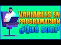 What is a variable in programming Basic Programming Concepts