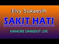 Download Lagu KARAOKE SAKIT HATI ELVY SUKAESIH @VINOKORG