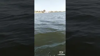 نهر النيل عن قرب منظر جميل 